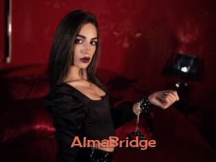 AlmaBridge