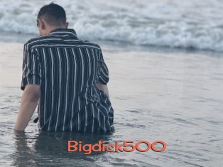 Bigdick500