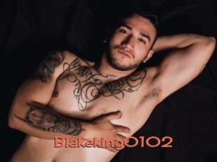 Blakeking0102