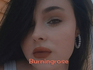 Burningrose