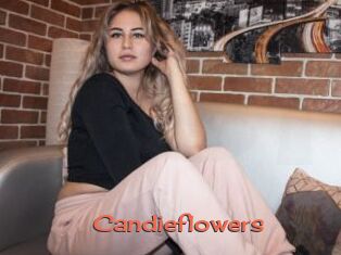 Candieflowers