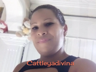 Cattleyadivina