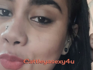 Cattleyasexy4u