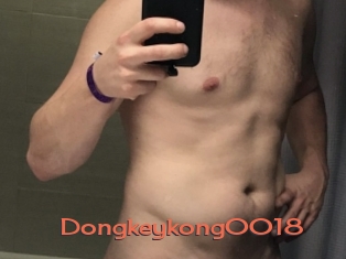 Dongkeykong0018