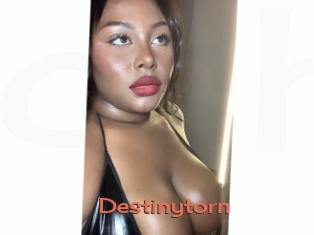 Destinytorn