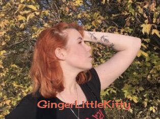 GingerLittleKitty