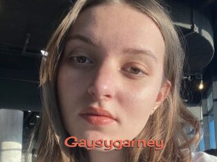 Gaysygarney