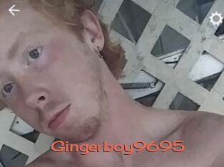 Gingerboy9695