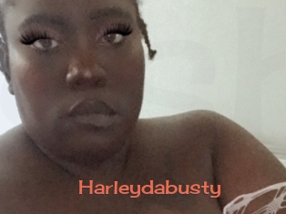 Harleydabusty