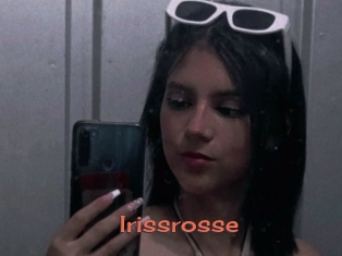 Irissrosse