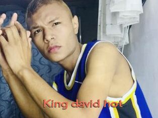 King_david_hot