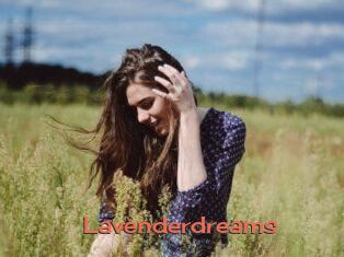 Lavenderdreams