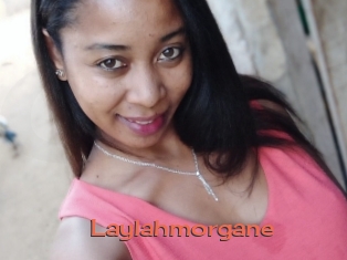 Laylahmorgane