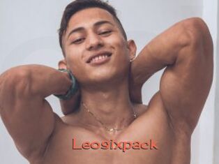 Leosixpack