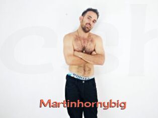 Martinhornybig