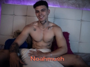 Noahmush