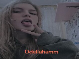 Odellahamm