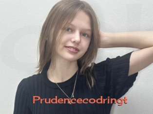 Prudencecodringt