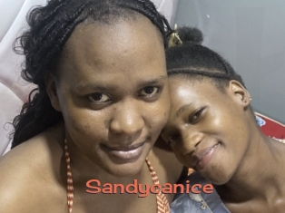 Sandycanice