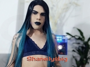 Shaneilysbig