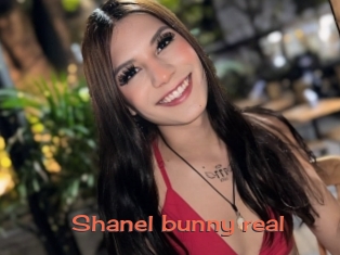 Shanel_bunny_real