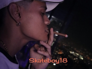 Skateboy18