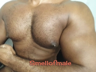 Smellofmale