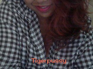 tigerpussy Cams Hot
