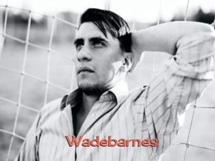 Wadebarnes