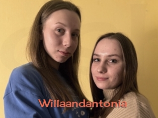 Willaandantonia